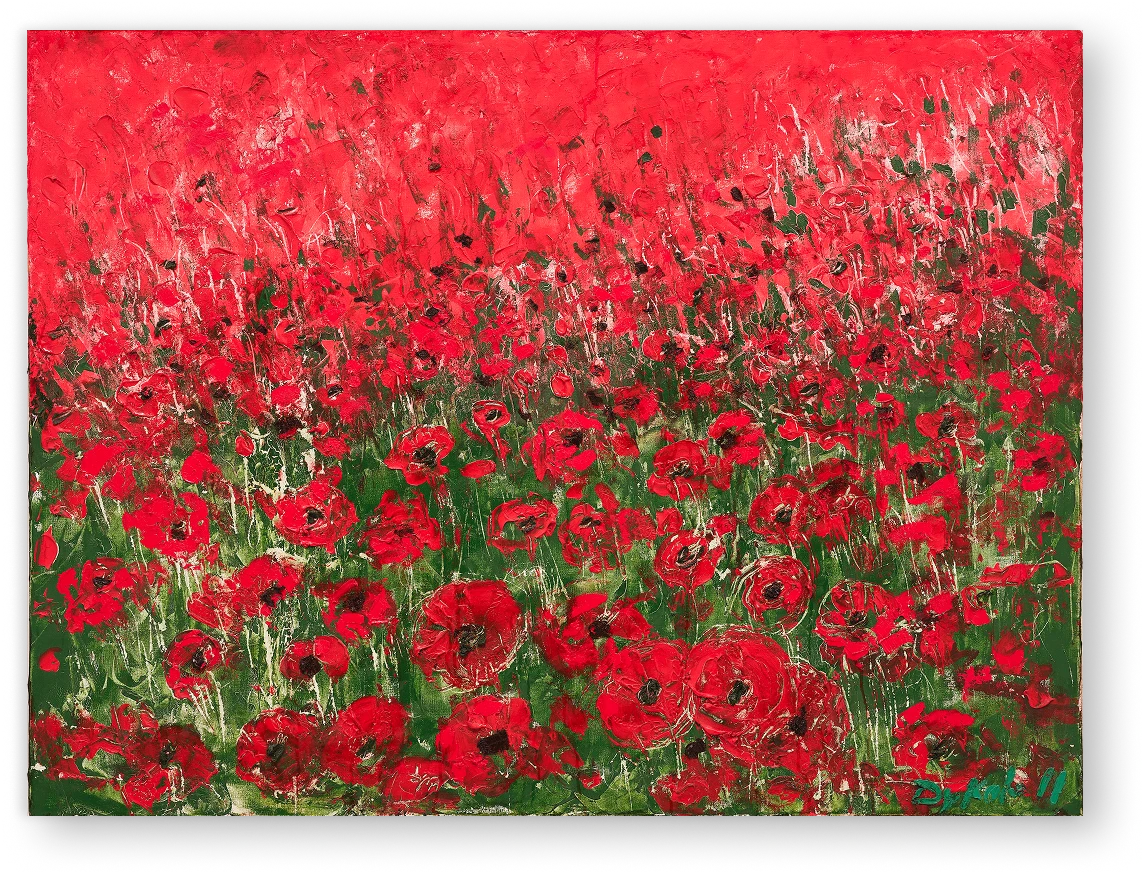 Poppies-in-Bloom-2011