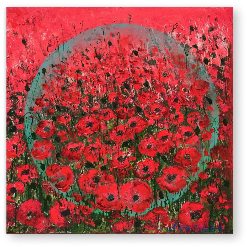 poppies-in-bloom-part-2-2024